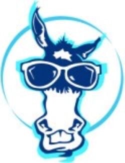 Blue Mule at Harbour Beach Resort